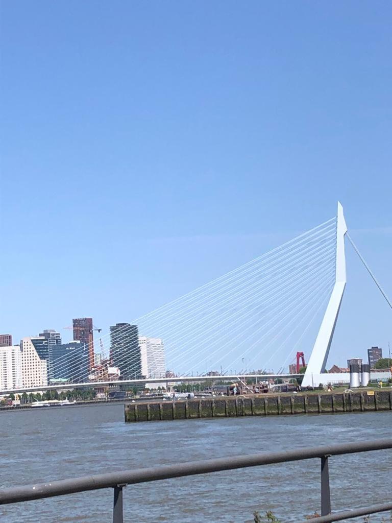 Imagine My B&B Rotterdam Esterno foto